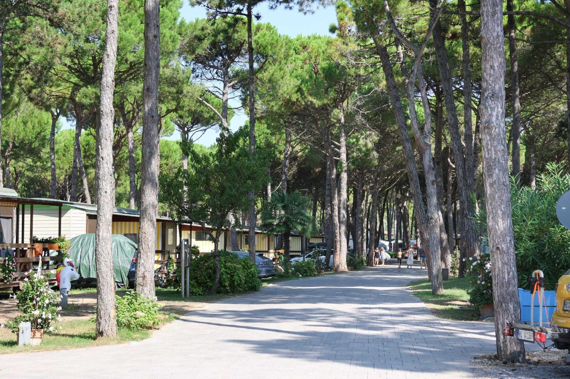 Il Tridente Camping Village Μπιμπιόνε Εξωτερικό φωτογραφία